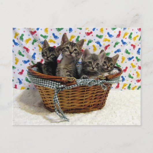 Basketful of Tabby Cats - Briefkaart (Voorkant)