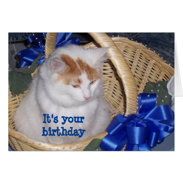 BASKETFUL VAN **PURRRFECT** BIRTHDAY WISHES (Voorkant Horizontaal)