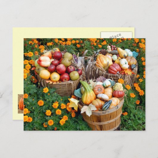 Baskets van de herfstperiode van groenten en fruit briefkaart (Voorkant / Achterkant)