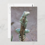 Basking Iguana-Briefkaart Briefkaart (Voorkant / Achterkant)