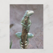 Basking Iguana-Briefkaart Briefkaart (Voorkant)