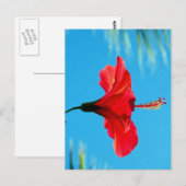BASKING IN DE AVOND BRIEFKAART (Voorkant / Achterkant)