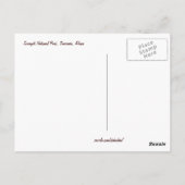 Basking in de zon - Briefkaart (Achterkant)