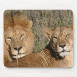 Basking in de zon - Mousepad Muismat