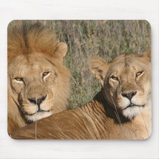 Basking in de zon - Mousepad Muismat (Voorkant)
