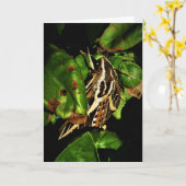 "Basking Moth" Wenskaart Herstel Kaart (Gele Bloem)