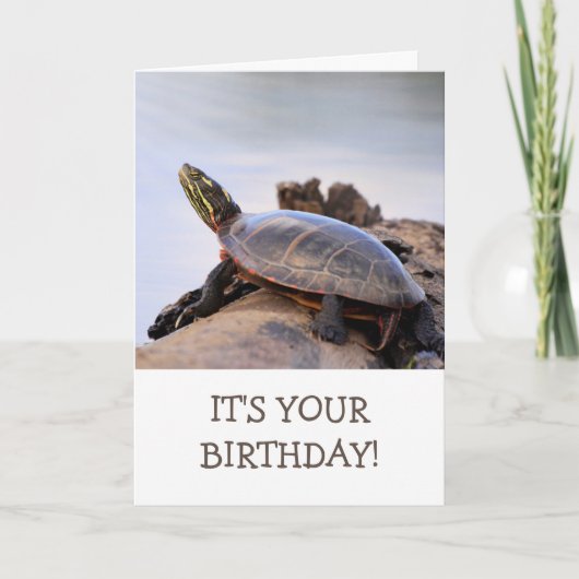 Basking Painted Turtle Natuur Birthday Kaart (Voorkant)