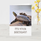 Basking Painted Turtle Natuur Birthday Kaart (Gele Bloem)
