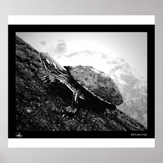 Basking Poster (Voorkant)