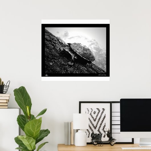 Basking Poster (Thuiskantoor)