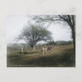 Basking Ridge NJ, out for a Sunday Drive,  Briefkaart (Voorkant)