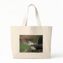 Baskische witte tijger