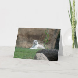 Baskische witte tijger kaart