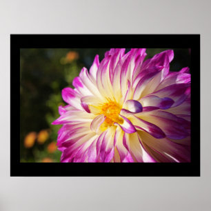 Baslee Troutman Galleries Dahlia Kunstprints Poster