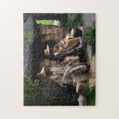 Basotho Chieftain Medicine man. Legpuzzel (Verticaal)