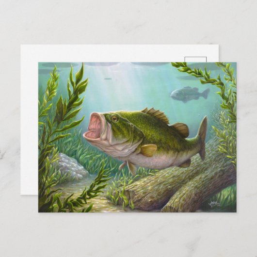 Bass Fish Briefkaart (Voorkant / Achterkant)
