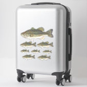 Bass Fish Custom Cut Vinyl Stickers Set (Koffer)
