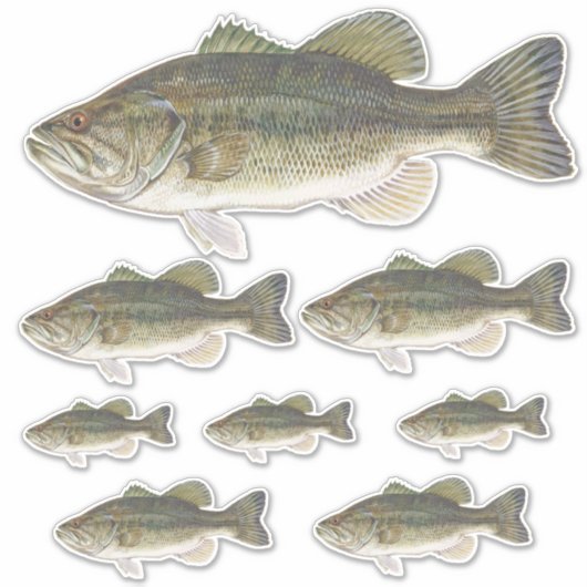 Bass Fish Custom Cut Vinyl Stickers Set (Voorkant)