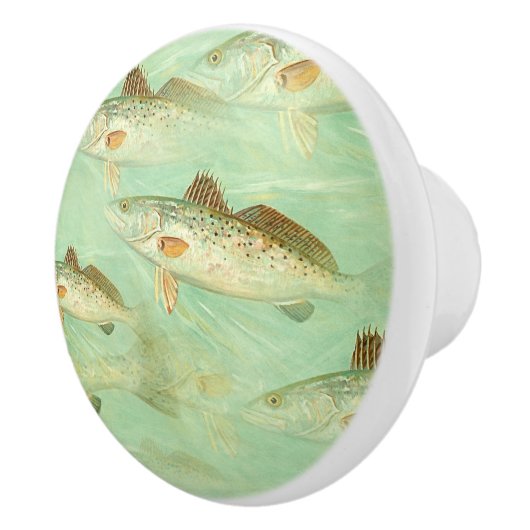 Bass Fish Pattern Keramische Knop (Rechts)