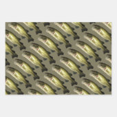 Bass Fish Pattern Outdoorsport Modern Inpakpapier Vel (Voorkant 3)