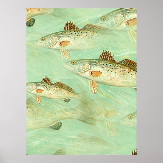 Bass Fish Pattern Poster (Voorkant)