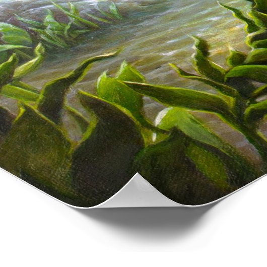 Bass Fish Poster (Hoek)