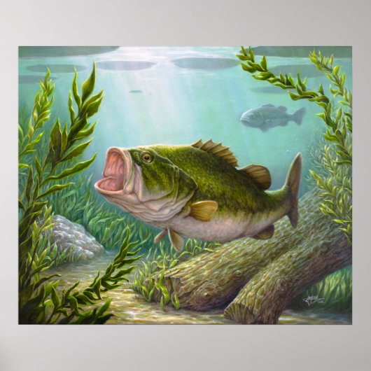 Bass Fish Poster (Voorkant)