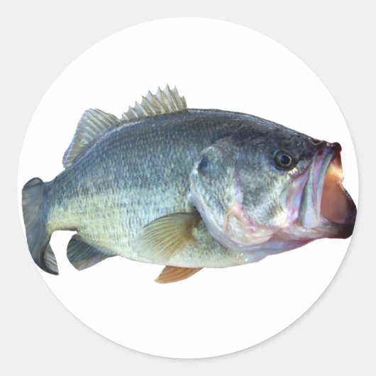 Bass Fish Ronde Sticker (Voorkant)