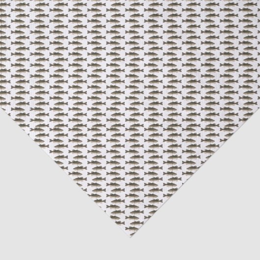 Bass Fish School Tissue Papier (Detail)