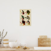 Bass Flies 270 tot 275 Vintage Poster (Keuken)