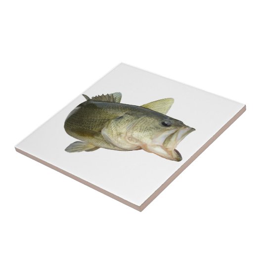 Bass Gevist Tegeltje (Zijkant)