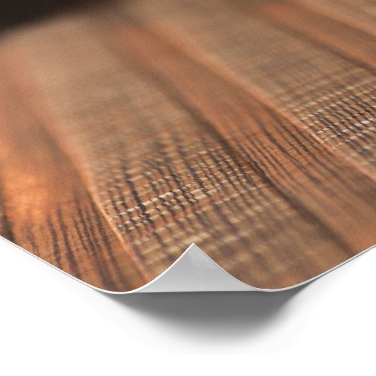 Bass Guitar 3 Poster (Hoek)