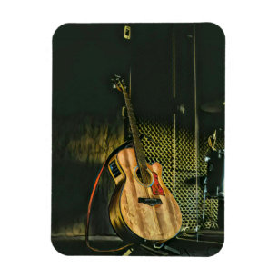 Bass guiter magneet