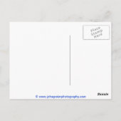 Bass Harbour-vuurtoren, Maine Briefkaart (Achterkant)