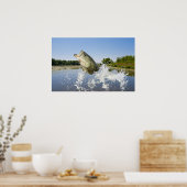 Bass Jump 2013 Poster (Keuken)