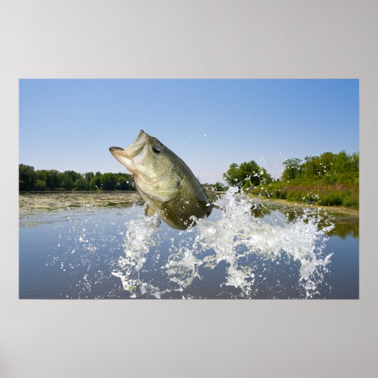 Bass Jump 2013 Poster (Voorkant)