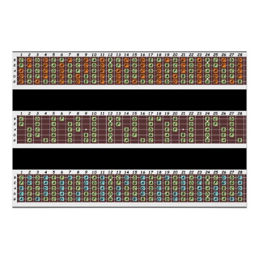 Bass Notes Poster papier (halfglans) (Voorkant)