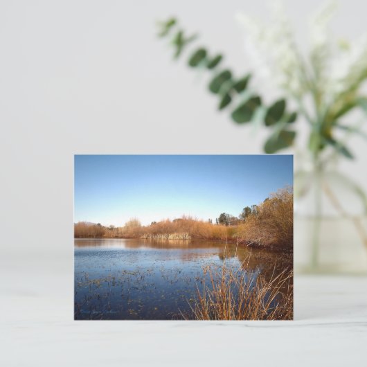 Bass Pond One Briefkaart (Staand voorkant)