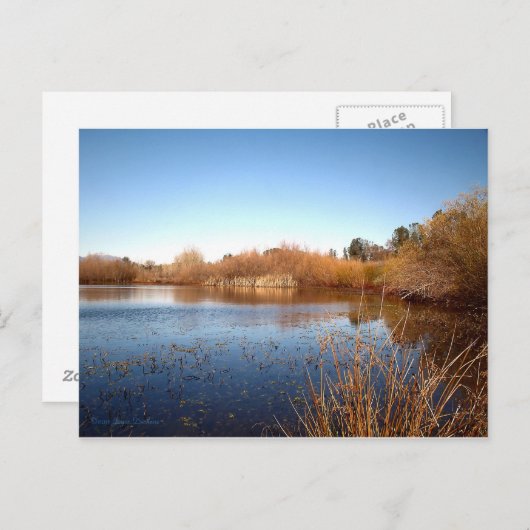 Bass Pond One Briefkaart (Voorkant / Achterkant)