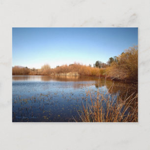 Bass Pond One Briefkaart