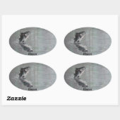 Bassen Ovale Sticker (Vel)