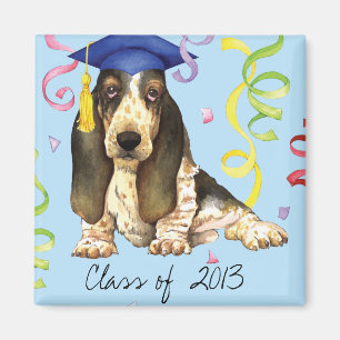 Basset Afstuderen Magneet