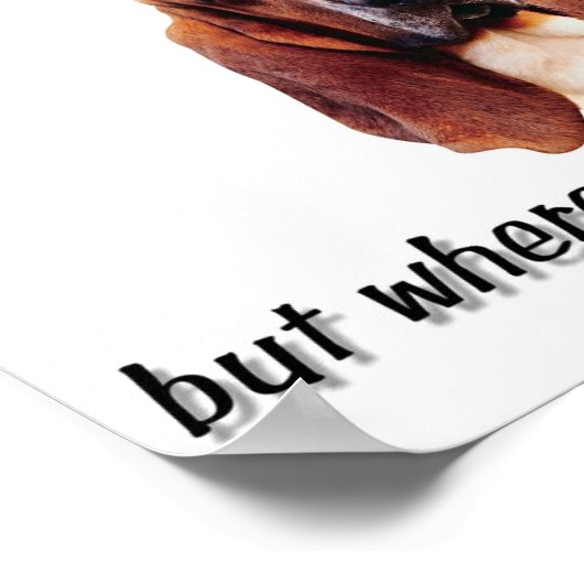 Basset-argument Poster (Hoek)