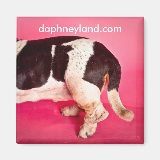 Basset Butt Magnet (Voorkant)