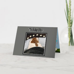 Basset "Counting Sheep" op de grappige Birthday-ka Kaart