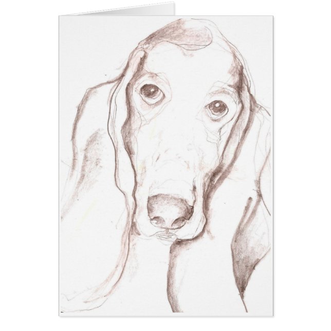 basset hond (Voorkant)