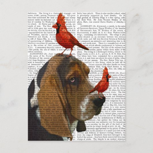 Basset Hond en vogels Briefkaart (Voorkant)