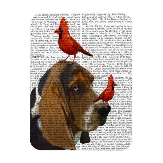 Basset Hond en vogels Magneet (Verticaal)