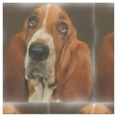 Basset Hond Hondenras Stof (Close Up)