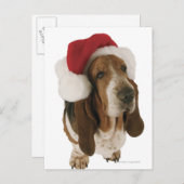 Basset hond in het pet van de Kerstman Feestdagenkaart (Voorkant / Achterkant)